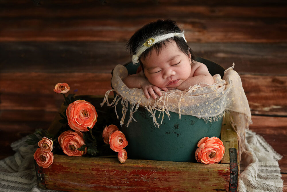 anchorage newborn photo session